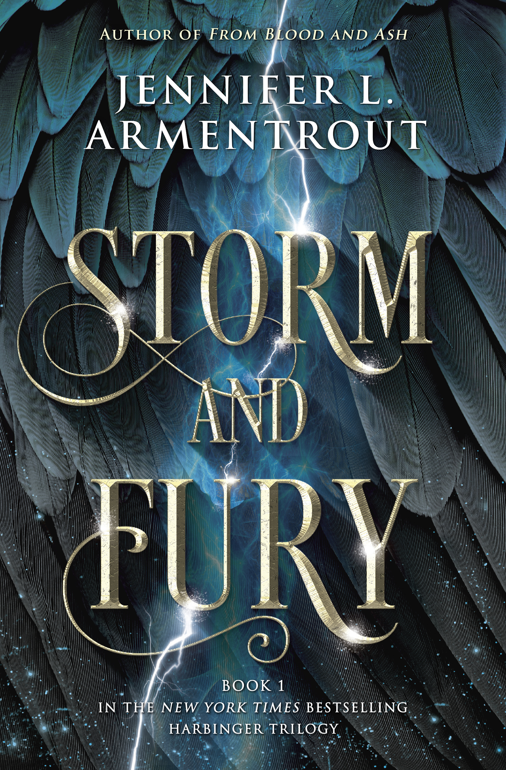 Book cover of Storm and Fury