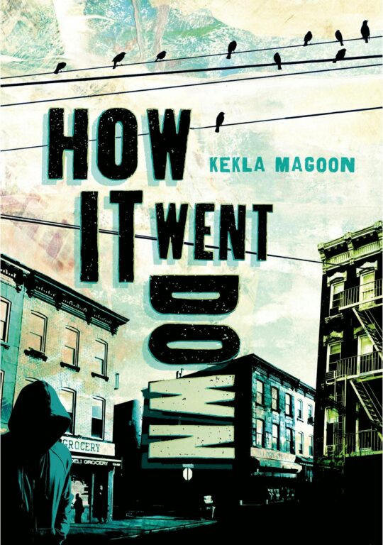 Book cover of How it Went Down