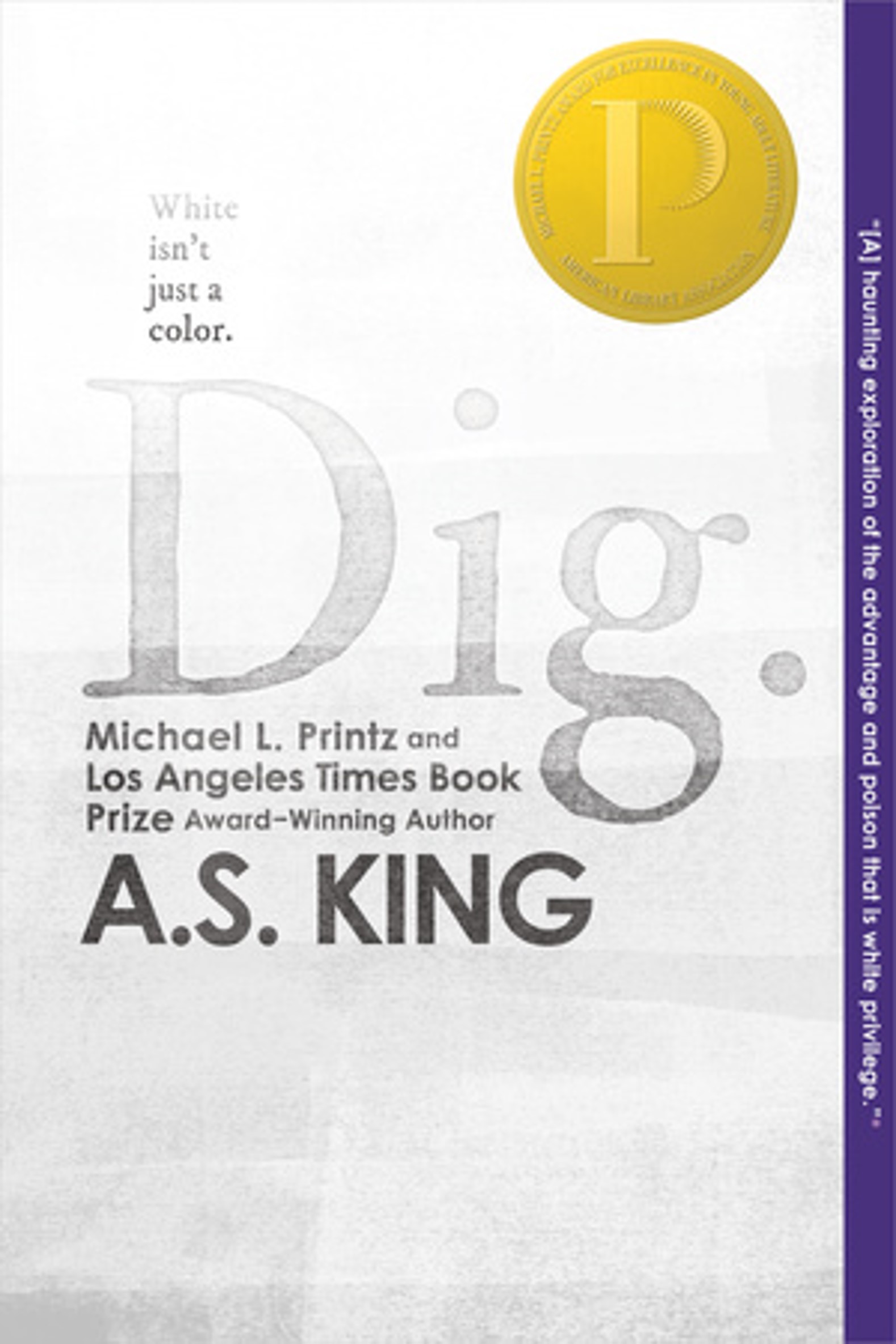 Book cover of Dig