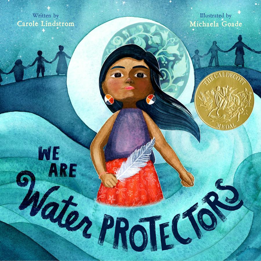Book cover of We Are Water Protectors.