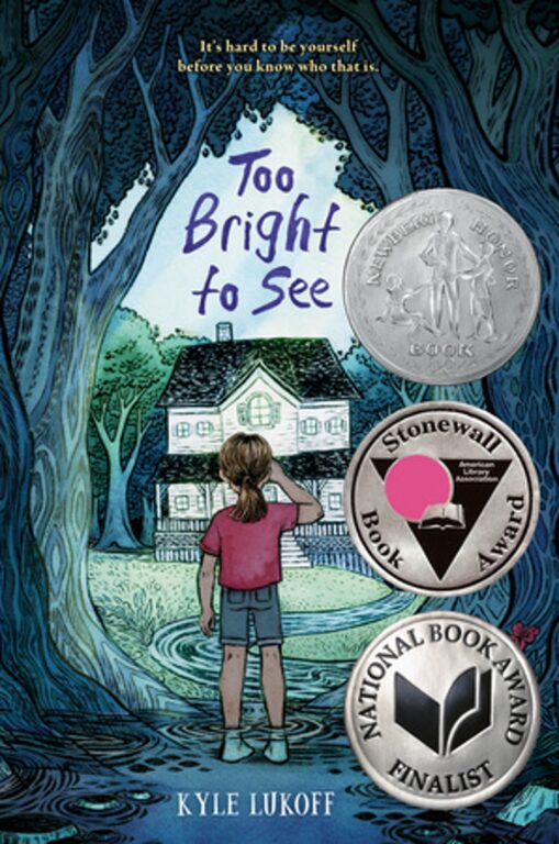 Book cover of Too Bright to See.