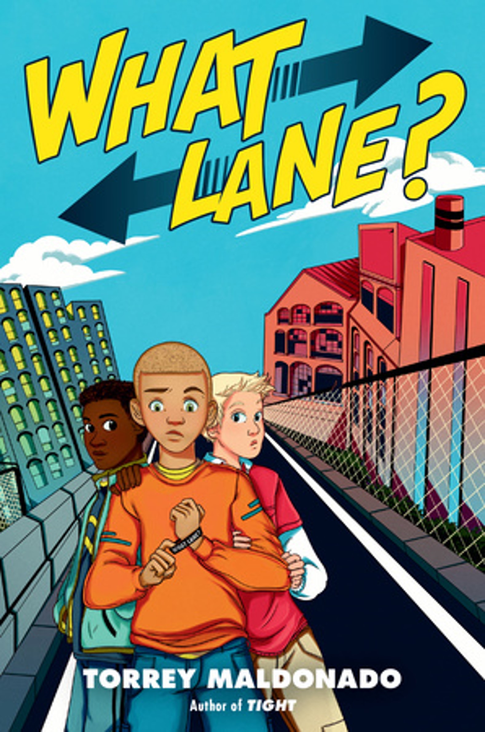 Book cover of What Lane?