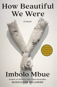 Book cover of How Beautiful We Were