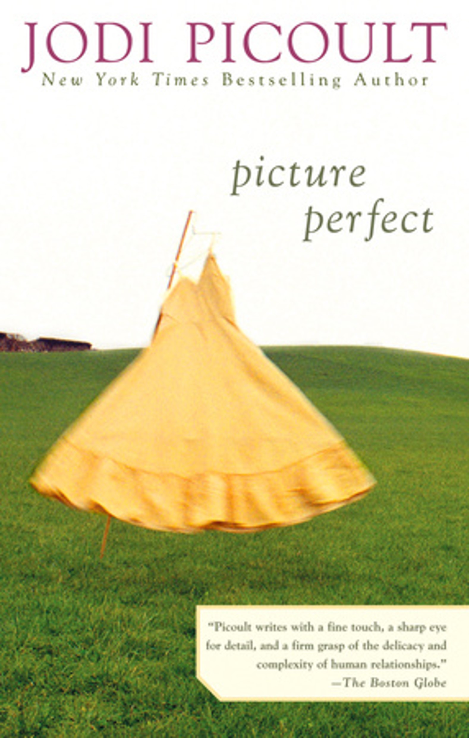 Book cover of Picture Perfect