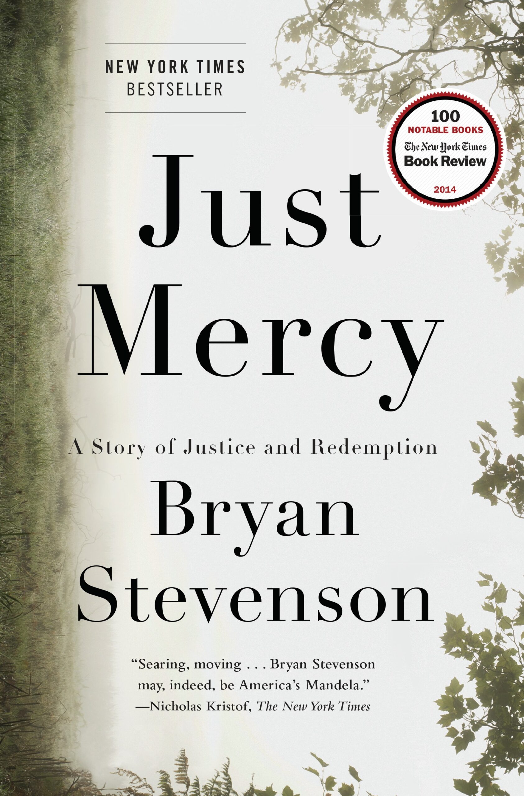 Book cover of Just Mercy: A Story of Justice and Redemption