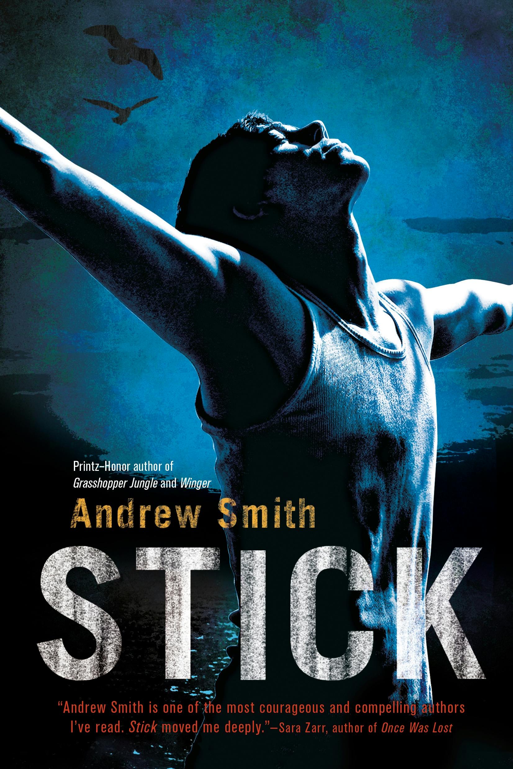 Book cover of Stick